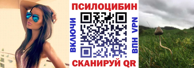ссылка на мегу ссылки  Покровск  Галлюциногенные грибы GOLDEN TEACHER 